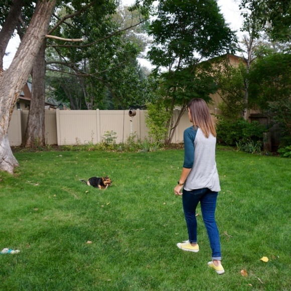 My Dog Is Cuter Than Your Boyfriend Baseball Tee - Picture 3 of 3